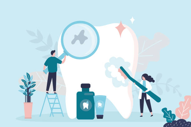 Best Traditional Braces  in Basehor, KS